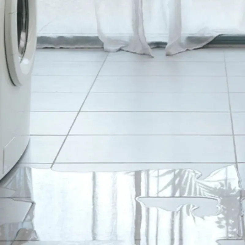 Appliance Leak Cleanup in Brantley County, GA