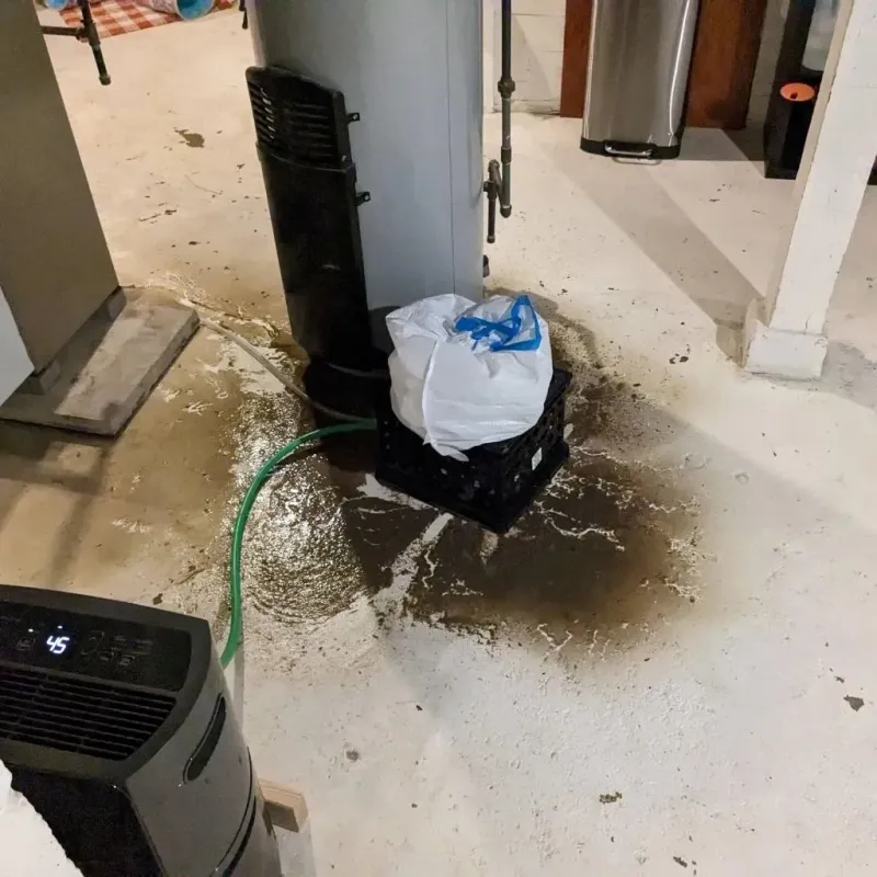 Sewage Backup Cleanup Service in Brantley County, GA